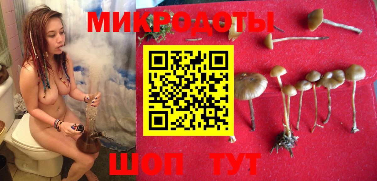 Псилоцибиновые грибы GOLDEN TEACHER Кыштым