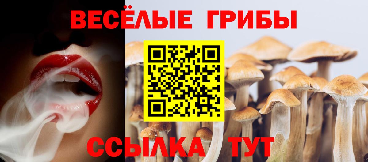 Кыштым  Псилоцибиновые грибы Psilocybine cubensis  Галлюциногенные грибы MAGIC MUSHROOMS  Вход с VPN 
